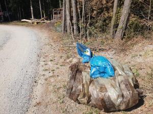 55576375_2100202083427602_1159701960887107584_n