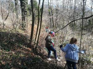 55882406_2318980731676467_8416969880963645440_n