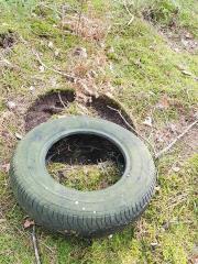 55933655_2100202163427594_3515515626099572736_n