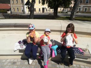 56178671_2318980701676470_6197632074346659840_n