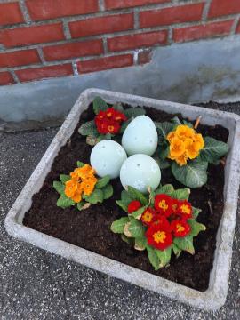 169665342_3053932868265897_7659174481201927256_n