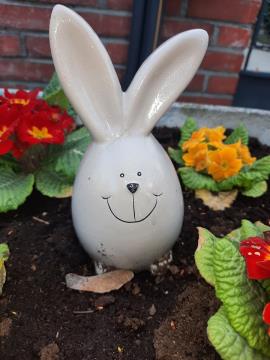 169762110_960100994527156_3599992763592221642_n