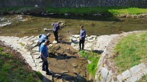 539971_1263216033792882_911216274433512508_n