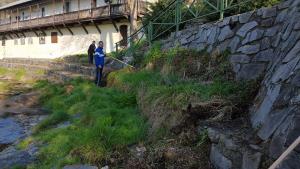 17426259_1263215997126219_7881426353717288806_n