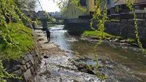 17629723_1263216080459544_2291874979785125472_n