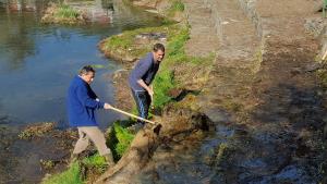 17629970_1263216057126213_237134899621137353_n