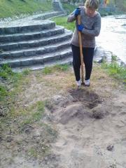 received_1667606720212370