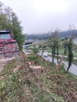 l_624121IMG_20240419_073109