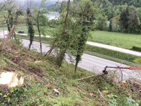 l_624120IMG_20240419_073052