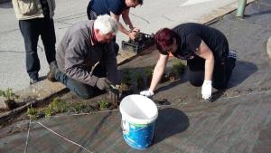 20160507_163815_resized