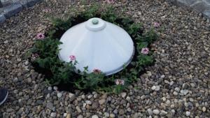 20160507_192429_resized