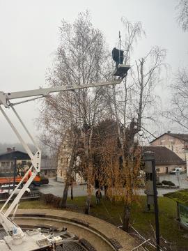 Obrezovanje drevja