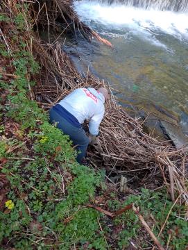 IMG_20250404_095408_MP