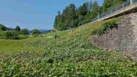 IMG_20250609_071746