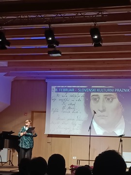 c2903003-6264-4916-b7b8-7d8343b382fa