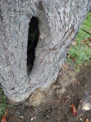 IMG_20170912_123856[1]