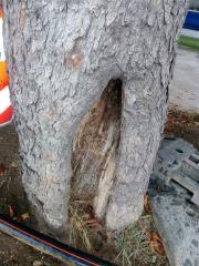 IMG_20170912_123921[1]